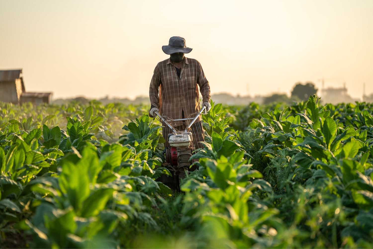 Food Loss, Food Waste, and Sustainable Food Systems. What you should know.