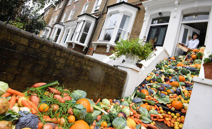 How To Reduce Your Food Waste: 12 Simple Ways To Save Money And Reduce Your Impact