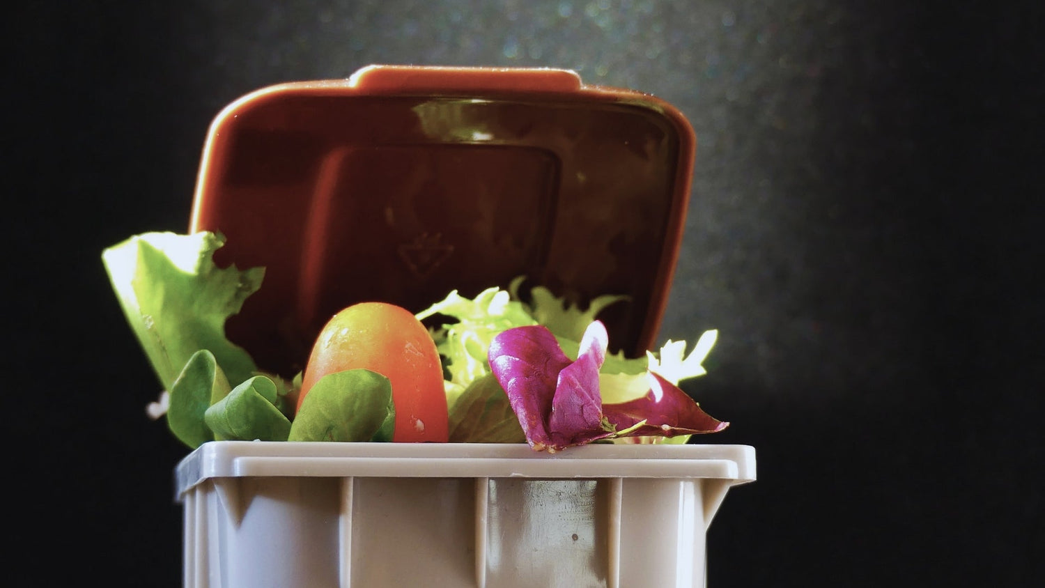 Food in waste bin 