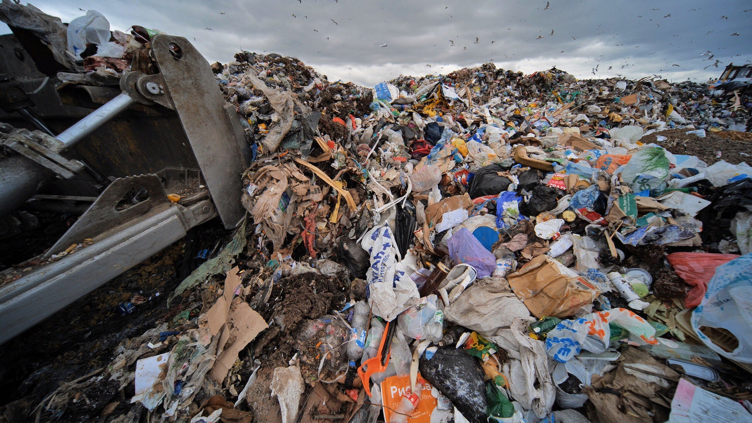 Plastic Pollution And How It Affects Me As An Individual